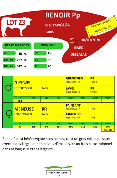 Renoir pedigree